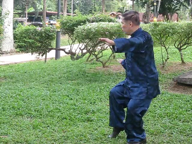 Wu Yu Xiang Style Taijiquan